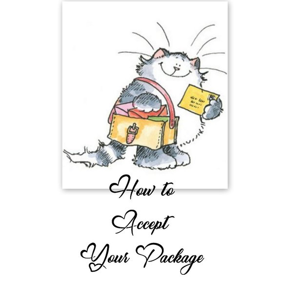Please Accept Your Package - Picture 1 of 6